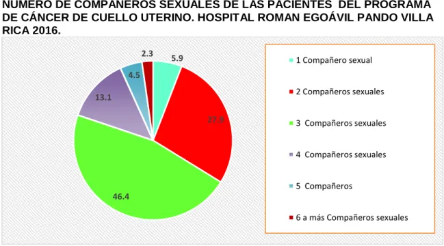 GRÁFICO N° 07 