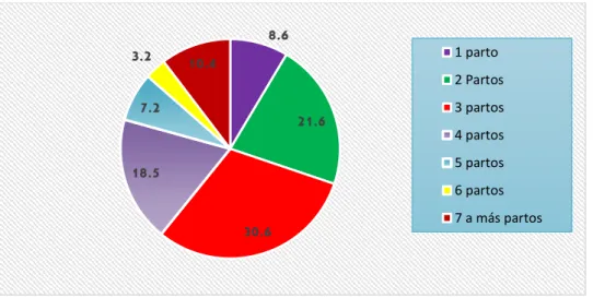 GRÁFICO N° 07 