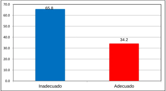 GRÁFICO N° 13 