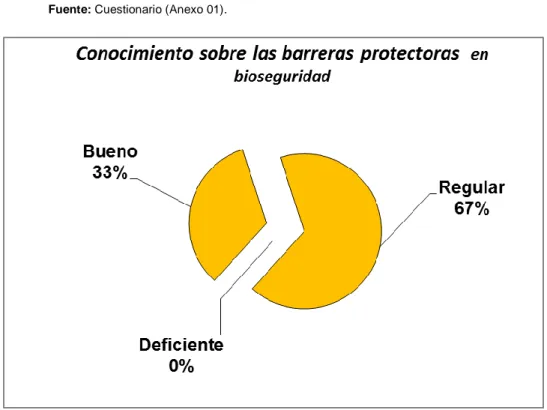 Tabla 09. Conocimiento sobre las barreras protectoras en bioseguridad  del  personal de enfermería del Centro de Salud de Acomayo 2015
