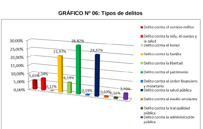 GRÁFICO Nº 06: Tipos de delitos  