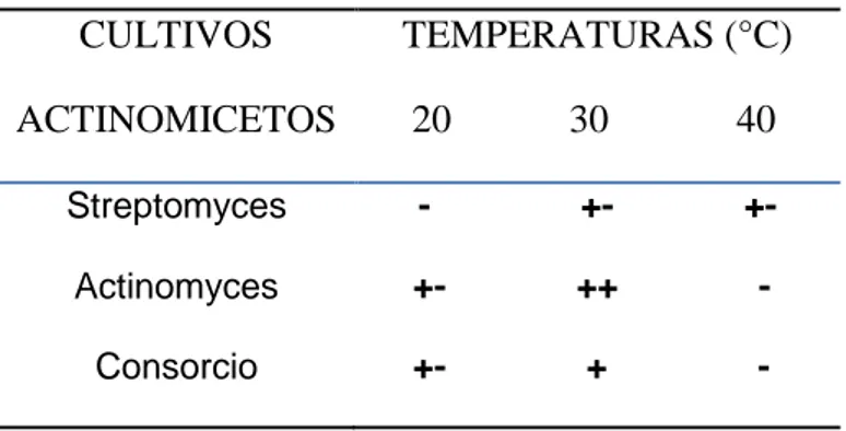 Tabla  1.    Evaluación  del  crecimiento  de    actinomicetos  en  Medio  Loos  conteniendo  el  herbicida  2,4-D  e  incubados  a  diferentes  temperaturas durante 15 días