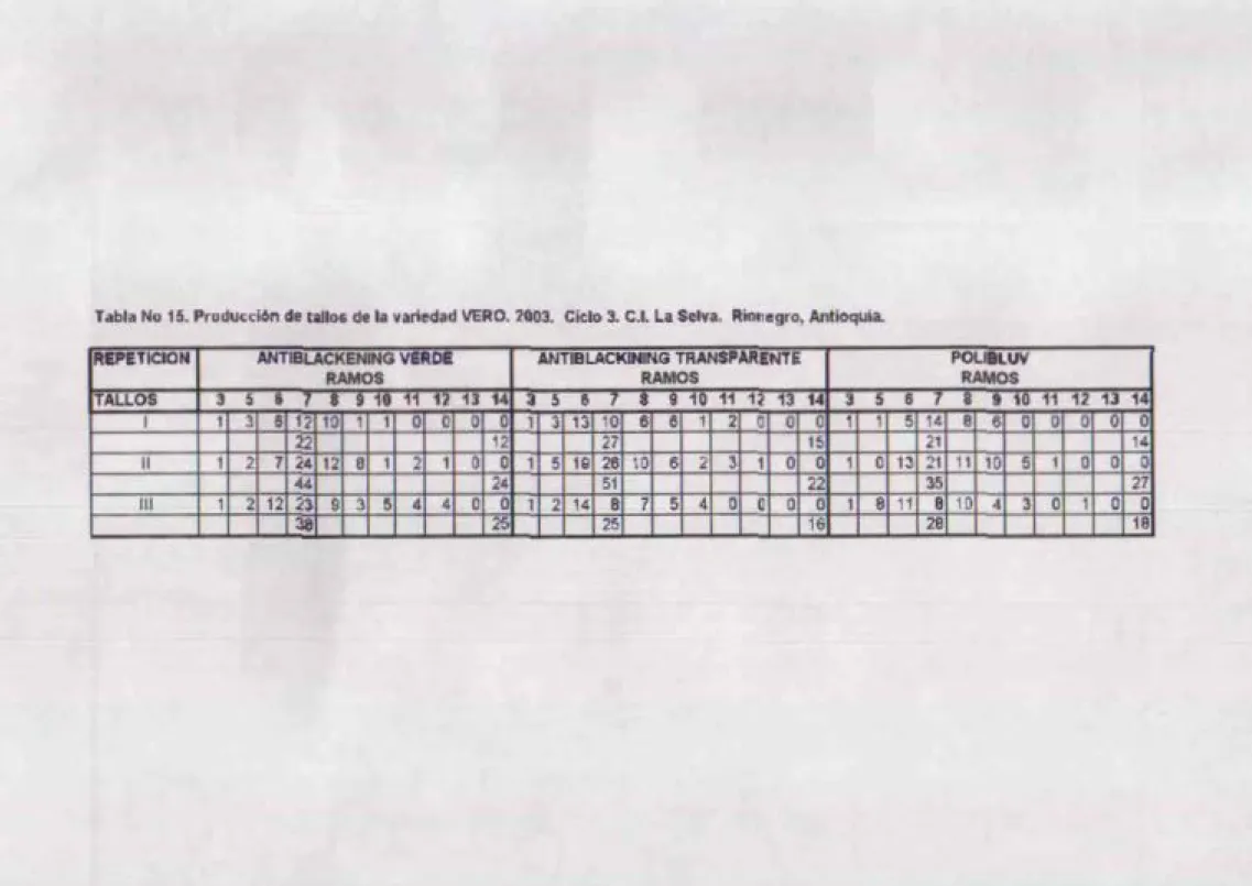 Tabla No  16. P roduccl6n de callos dt  la variedad VERO. 2003.  Cldo  3.  c.t La Selva