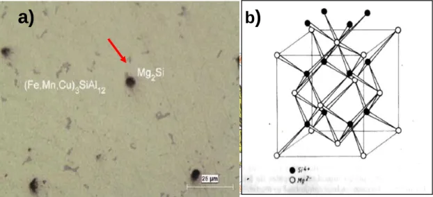 Fig.  II.8  a)  Microfotografía  donde  se  pueden  observar  muestras  de  M g2 Si;  b) 