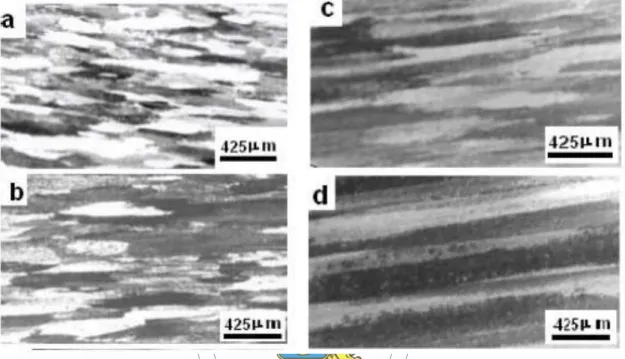 Fig. II.10 Micrografías ópticas mostrando lo extenso de las bandas de deformación para  distintos niveles de deformación: (a) deformada en caliente, (b) ε = 0,4; (c) ε = 0,7 y (d) 