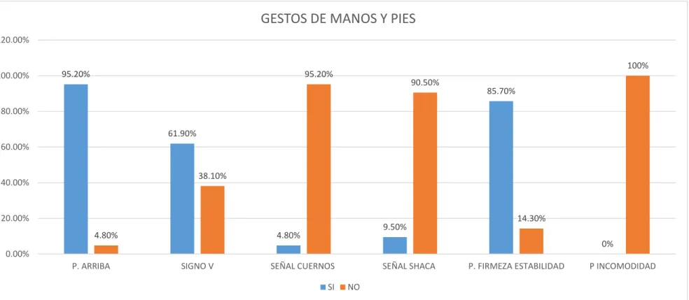 GRÁFICO Nº 06 