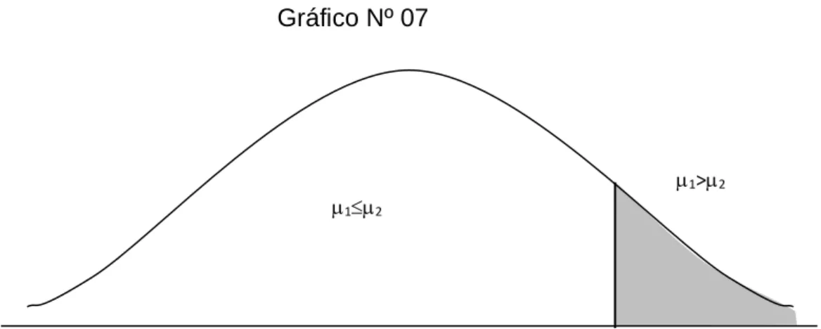 Gráfico Nº 07 