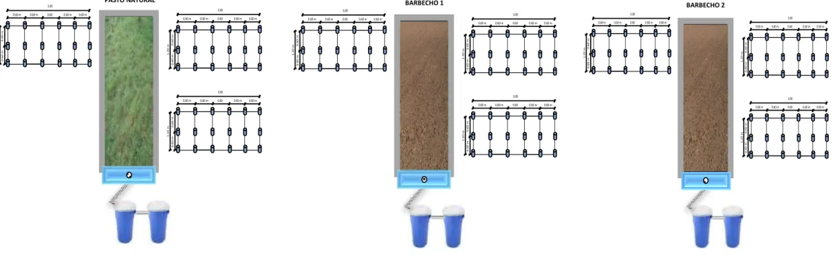 Fig. 8 Diagrama de distribución de las parcelas de escorrentía y microparcelas de varillas de erosión 