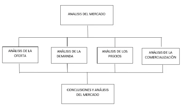Gráfico 2: Estructura del análisis del mercado 