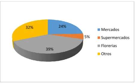 Gráfico N.- 11. Lugar de compra 