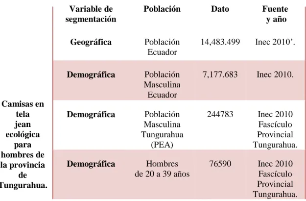 Tabla 1 : Segmentación de Mercados 