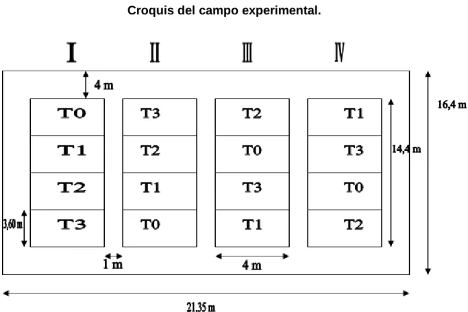 Fig. 01. Croquis del campo experimental 
