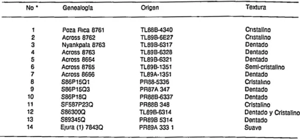 TABLA  1  Varledadell  y sfnl~lIcoll  de mafz para 6rc8alroplcalcIJ, ullllzados para evaluar  re~191~ncla  n  S  ztamais 