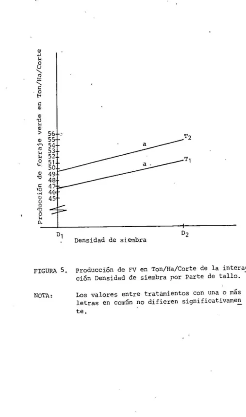 FIGURA  5.  producción  de  FV  en  Ton/Ha/Corte  de  la  interac  ción  Densidad  de  siembra  por  Parte  de  tallo