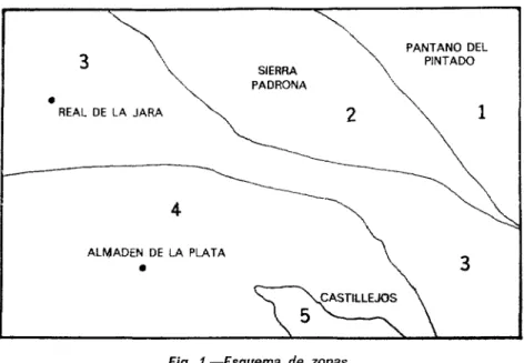 Fig.  t.-Esquema  de  zonas. 