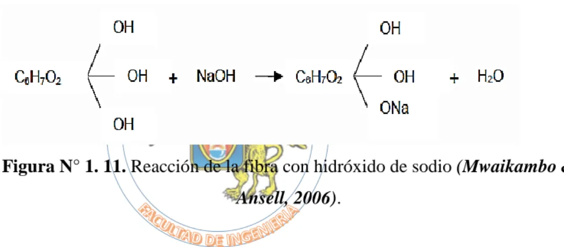 Figura N° 1. 11. Reacción de la fibra con hidróxido de sodio (Mwaikambo &amp;  Ansell, 2006)