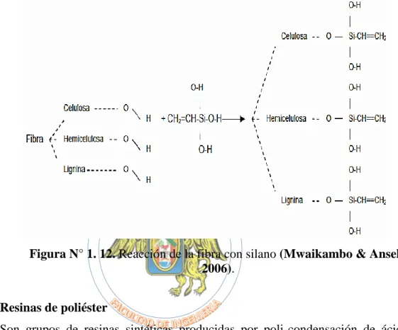 Figura N° 1. 12. Reacción de la fibra con silano (Mwaikambo &amp; Ansell,  2006). 