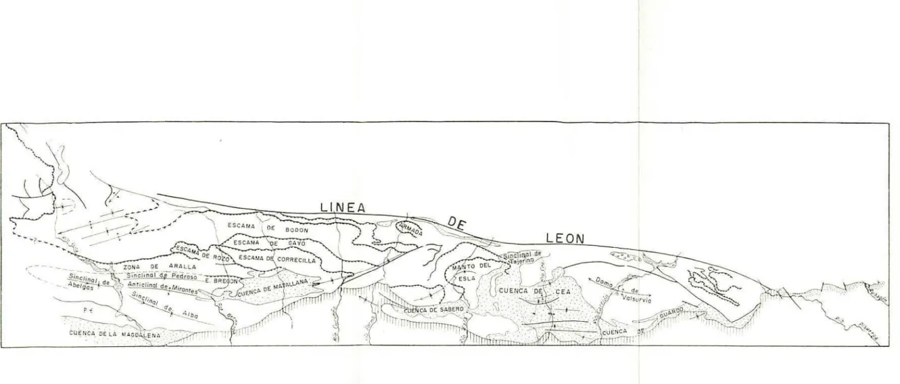 Figura 7.-Unidades en la Vertiente S. de la Cordillera Cantábrica (según DE SITTER, 1962, Leidse Geol