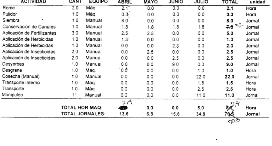 Tabla 13. Distribución de tiempo por labores mensuales para el cultivo del maíz en el sistema tradicional 1, labranza convencional