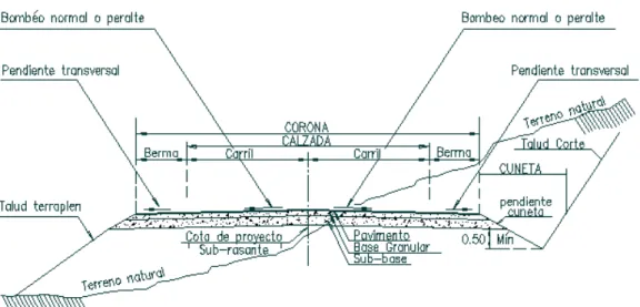 Gráfico Nº5. Sección transversal tipo 
