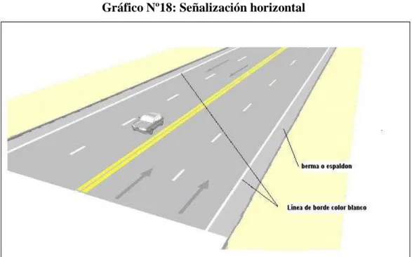 Gráfico Nº18: Señalización horizontal 