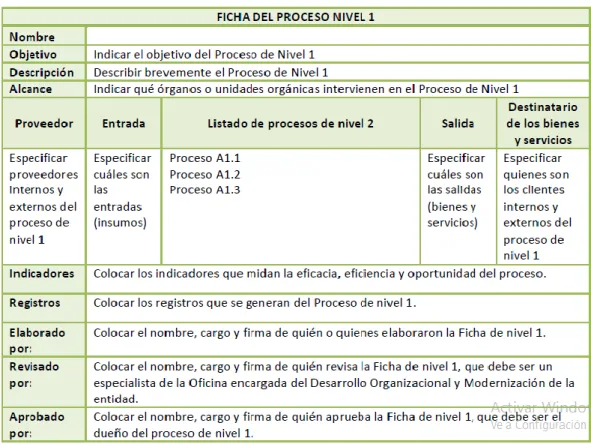 Tabla 4- Modelo de Ficha de Proceso de Nivel 1 - Proceso A1. 