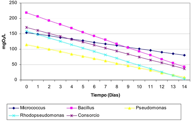 Figura 3 . Perfil del consumo de materia orgánica (DBO 5 )  durante la  degradación de diesel II por Pseudomonas sp, 