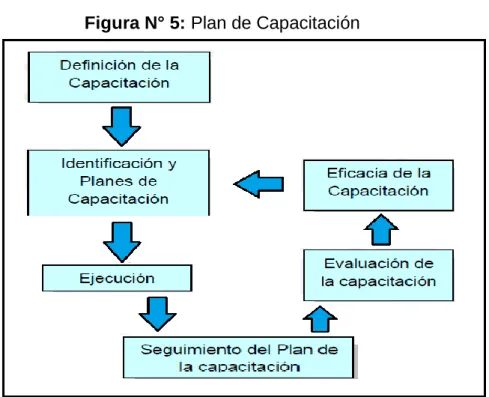 Figura N° 5: Plan de Capacitación  