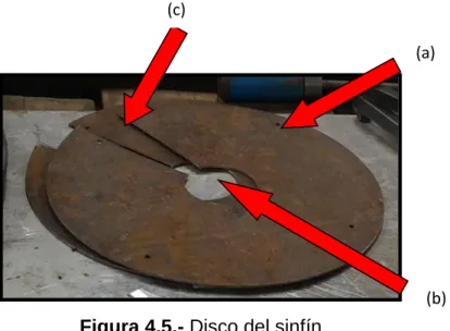 Figura 4.5.- Disco del sinfín 