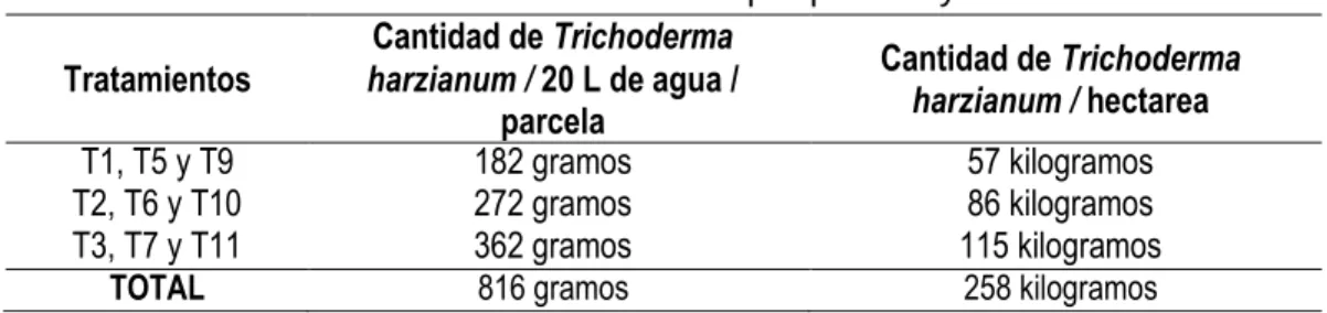 TABLA 05. Dosis de Trichoderma harzianum por parcela y hectarea 