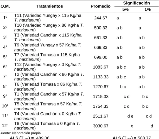 TABLA 07. Prueba de Tukey de para la variable área bajo la curva del progreso  de la enfermedad (AUDPC) 