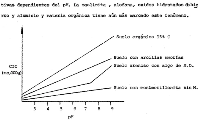Figura  4.2.- Efecto  del  pE  en  la  capacidad  de  interCU1bio  catiónico  de  va  rios  materiales  (León,  1971)