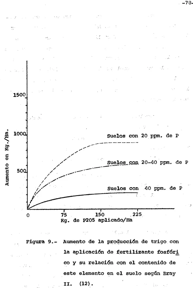 Figura  9.- Aumento  de  la  producci6n  de  trigo  con  la  aplicaci6n  de  ~ertilizante  fosf6r! 