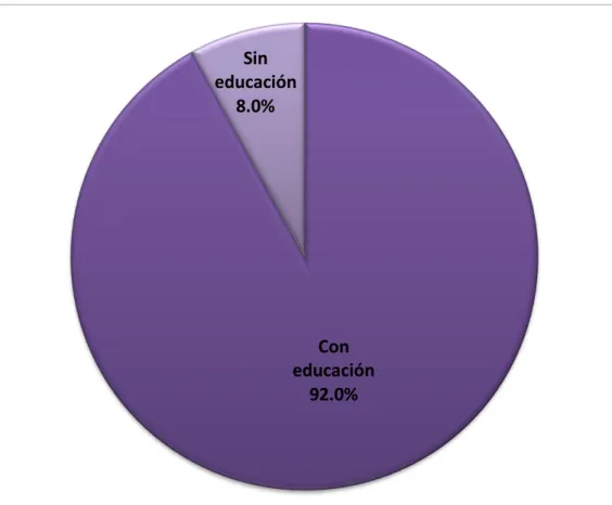 Figura 05. Nivel de educación. 