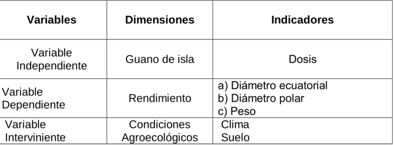 Tabla 01. Matriz de operacionalización de variables 