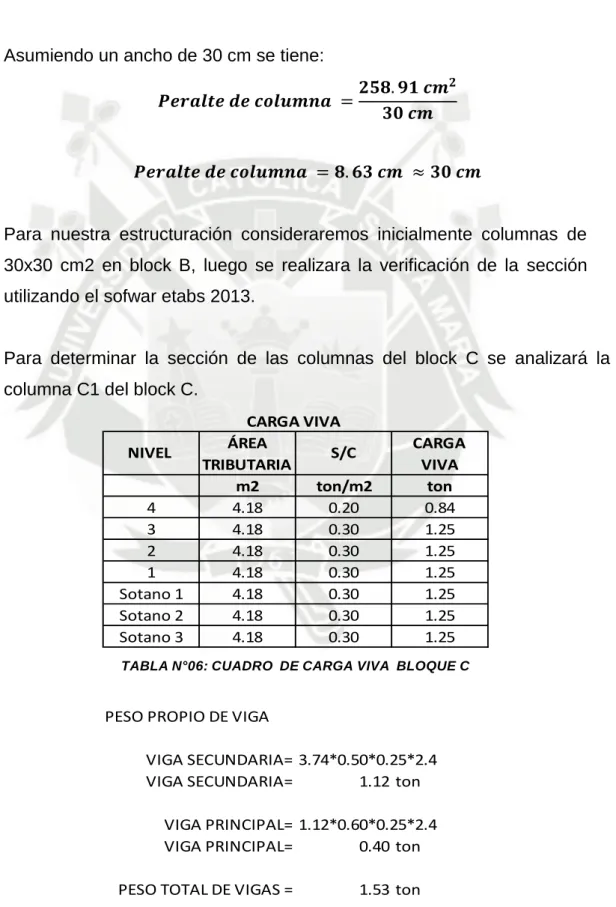 TABLA N°06: CUADRO    DE CARGA VIVA    BLOQUE C    