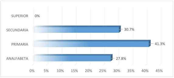 GRÁFICO N° 01 