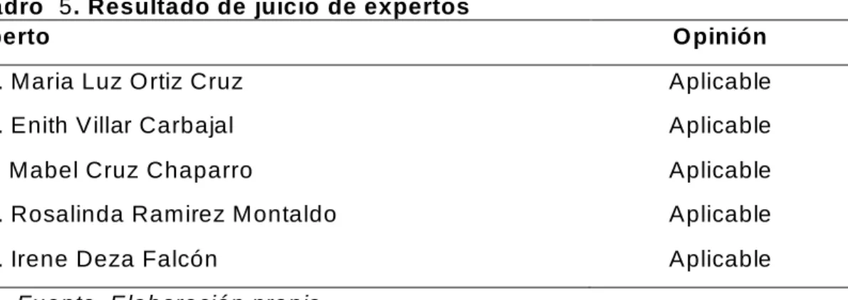 Cuadro   5. Resultado de juicio  de expertos  