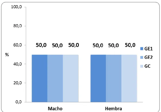Gráfico 01. Porcentaje de ratas de laboratorio según sexo y grupos de  estudio. Facultad de Medicina Veterinaria y Zootecnia