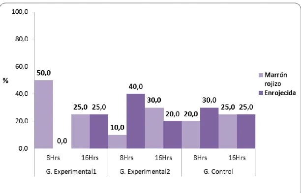 Gráfico 05. Porcentaje de ratas de laboratorio por color del estómago y  según tiempo de tratamiento y grupos de estudio