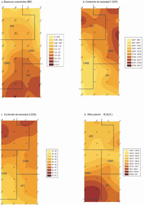 FIGURA 2. Mapas de MC, CH1, CH2 y ALP III  en un lote de maíz. Centro Agropecuario Marengo, Universidad Nacional de Colombia, Mosquera