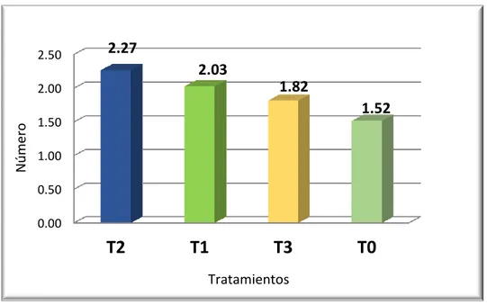 Fig 06. Número de brotes por estaca a los 30 días. 