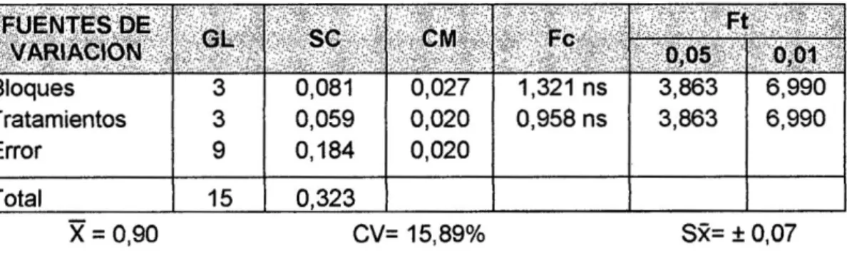 Tabla 12. Análisis de varianza para la cuarta evaluación del porcentaje de plantas  afectadas DT arco senoVx 