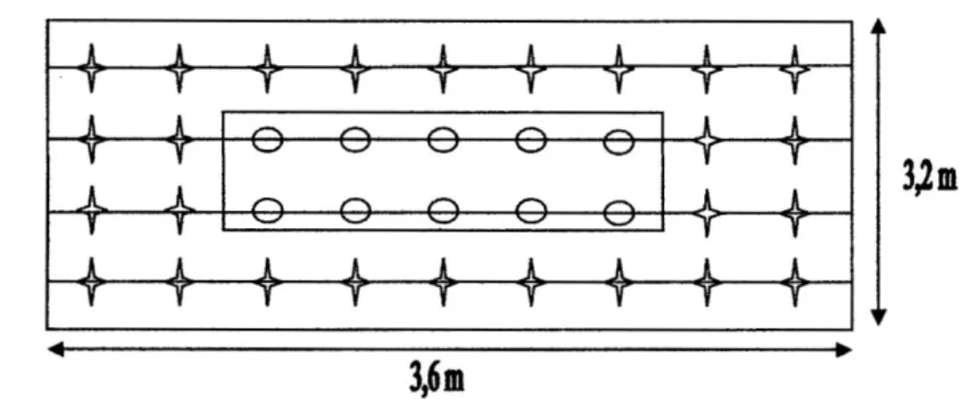 Fig 03 Croquis de la parcela experimental (DS: 0,80 x 0,40 x 2 = 62 500  Planta/ha)  i I 1  i — f  J L  J L  J L  V  "4  +  -e—e—e—e—e- -Q—©—©—©—e-+  T  " f + +  + i +  +  2,4m 