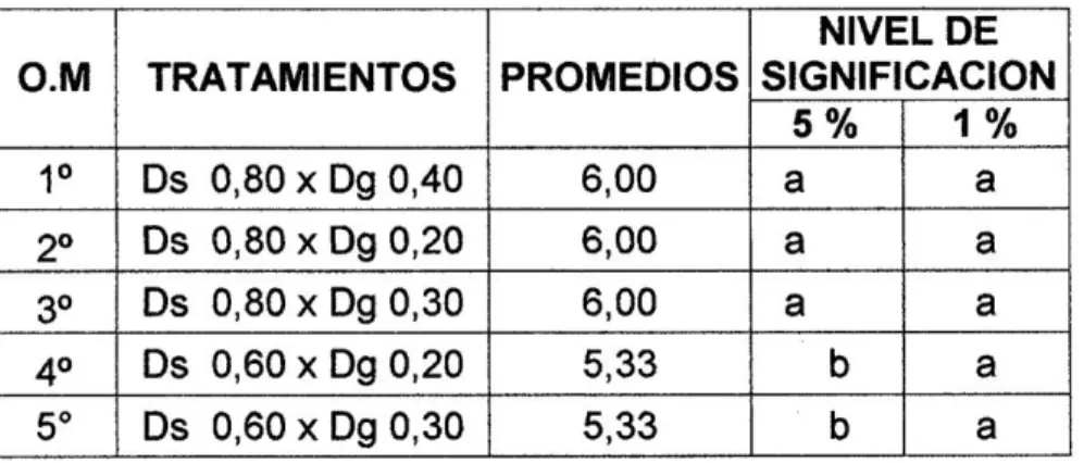 Cuadro 04. Prueba de significación de Duncan para granos por vaina 