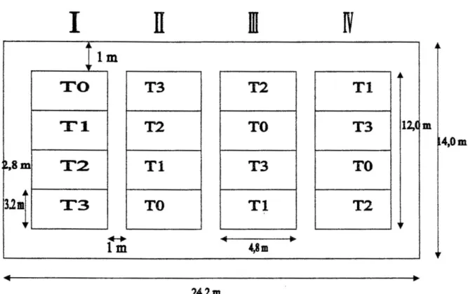 Fig 1. Croquis del campo experimental 