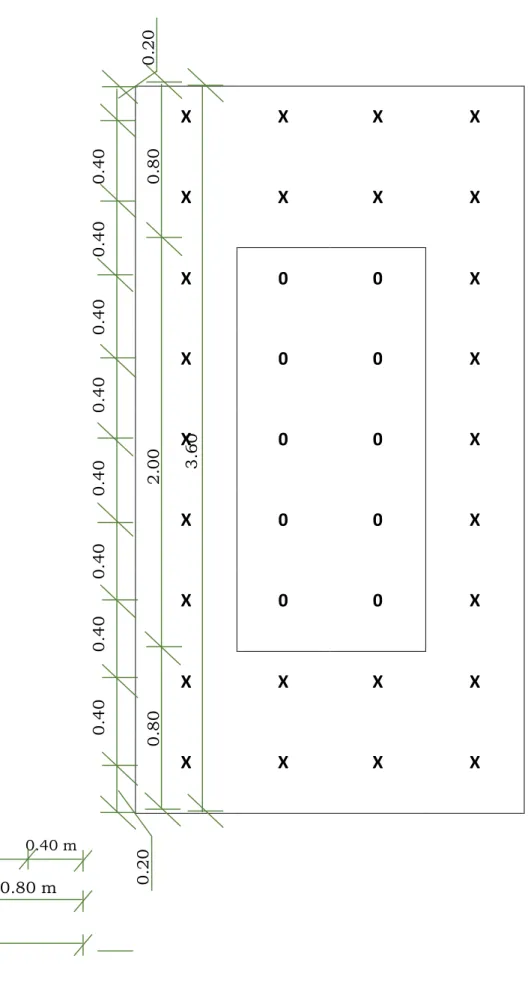 Figura 06. Detalle de la parcela experimental (0.80 x 0.40 m) X X X X X X X X X 0 0 X X 0 0 X X 0 0 X X 0 0 X X 0 0 X X X X X X X X X  LEYENDA  X = Plantas de borde 0 = Plantas a evaluar  0.40 m   0.80 m       0.80 m         0.80 m      0.40 m    0.80 m   