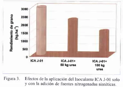 Figura 3.  Efectos de la aplicación del Inoculante ICA  J_01 solo y con la adición de fuentes nitrogenadas sintéticas.
