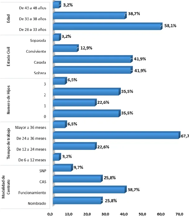 Gráfico  N°  1:  Características  del  profesional  de  enfermería  de  la  unidad  de  cuidados intensivos neonatales e intermedios.