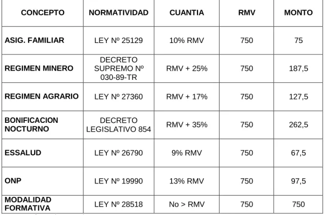 CUADRO Nº III-13 